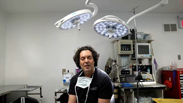 Transgender Feminisation