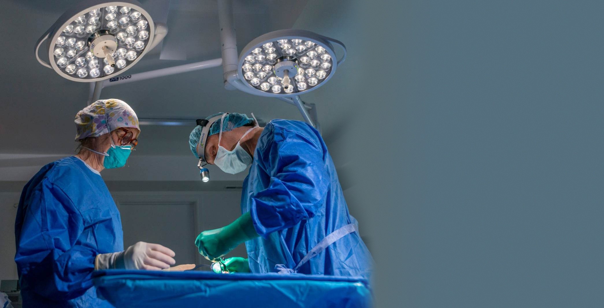 Hair Transplant Overview Follicle HT
