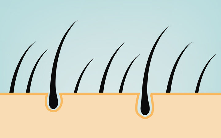 Understanding the Hair Growth Cycle After a Transplant